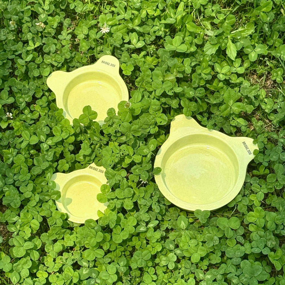 BRIDGE.DOG – URBAN DOG TOKYO