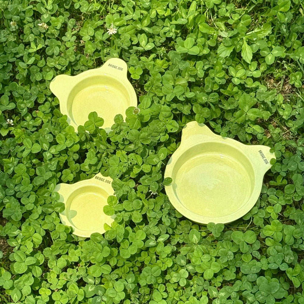 BRIDGE.DOG 食器セット＆スプーン BRIDGE.DOG – URBAN DOG TOKYO