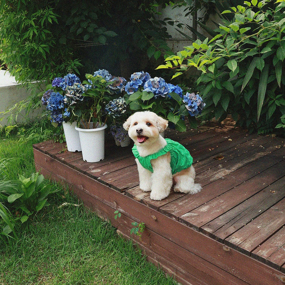 即納【noonoosoom】Dots baloon top（Green）