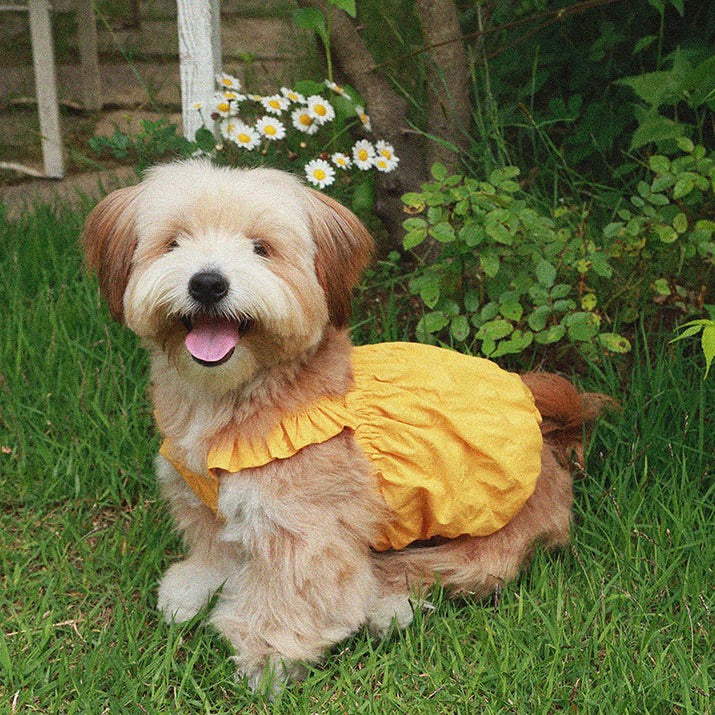 即納【noonoosoom】Dots baloon top（Yellow）