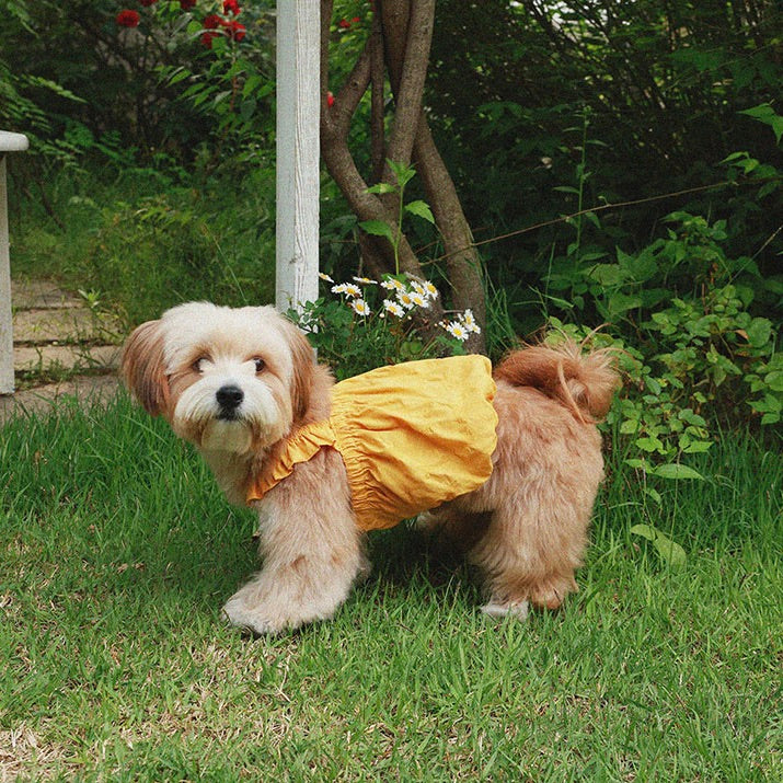 即納【noonoosoom】Dots baloon top（Yellow）