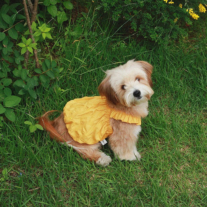 即納【noonoosoom】Dots baloon top（Yellow）