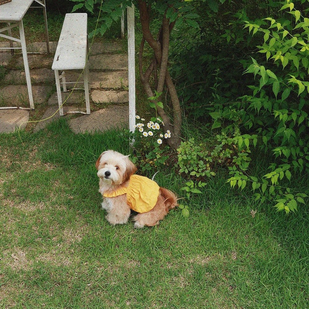 即納【noonoosoom】Dots baloon top（Yellow）