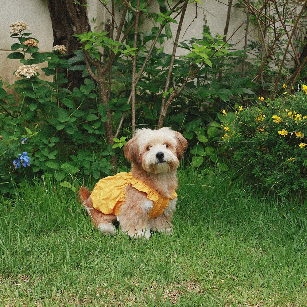 即納【noonoosoom】Dots baloon top（Yellow）