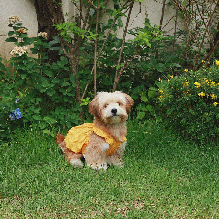 即納【noonoosoom】Dots baloon top（Yellow）