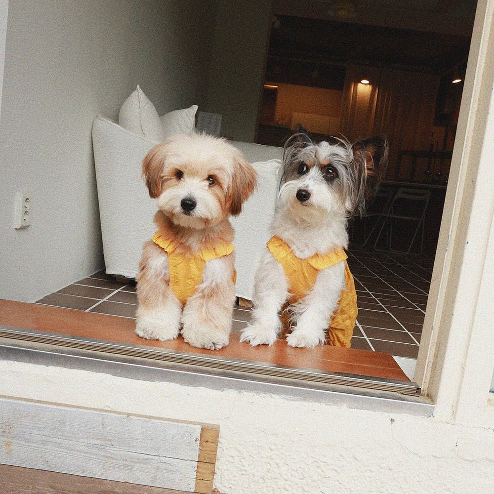 即納【noonoosoom】Dots baloon top（Yellow）