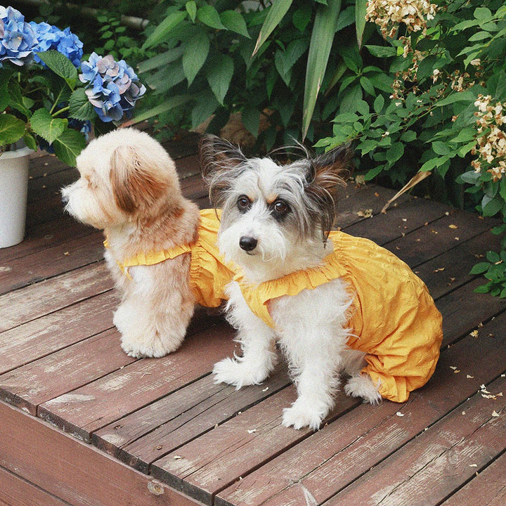 即納【noonoosoom】Dots baloon top（Yellow）