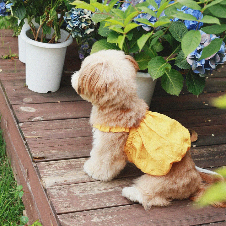 即納【noonoosoom】Dots baloon top（Yellow）
