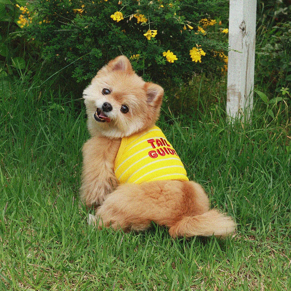 即納【noonoosoom】Tail guide crop top（Yellow）
