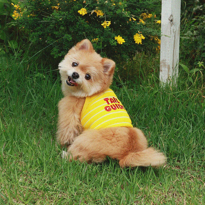 即納【noonoosoom】Tail guide crop top（Yellow）