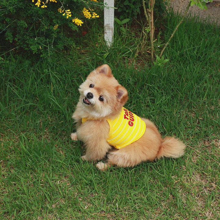 即納【noonoosoom】Tail guide crop top（Yellow）
