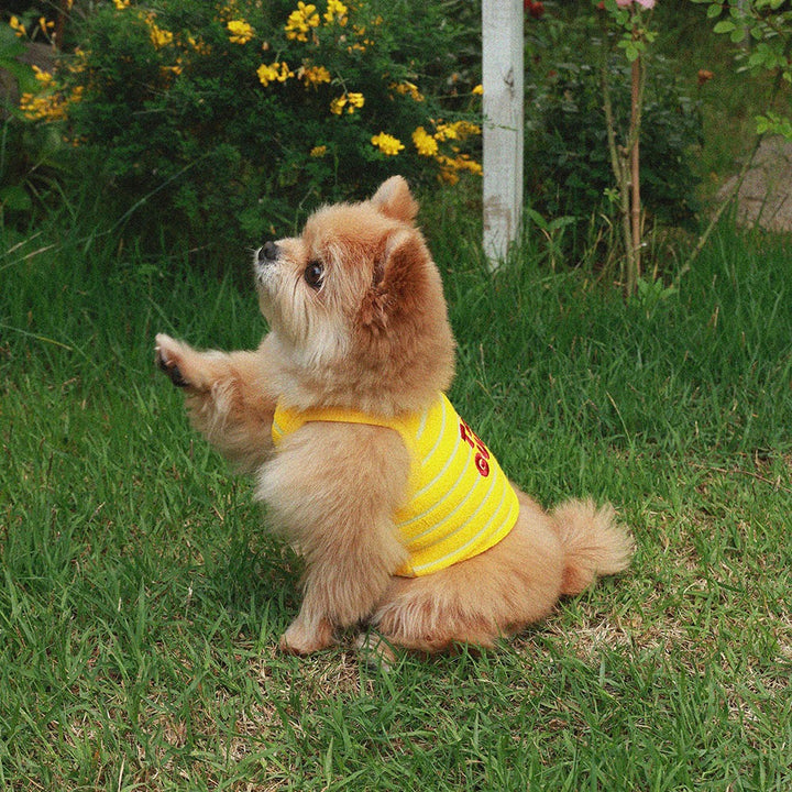 即納【noonoosoom】Tail guide crop top（Yellow）