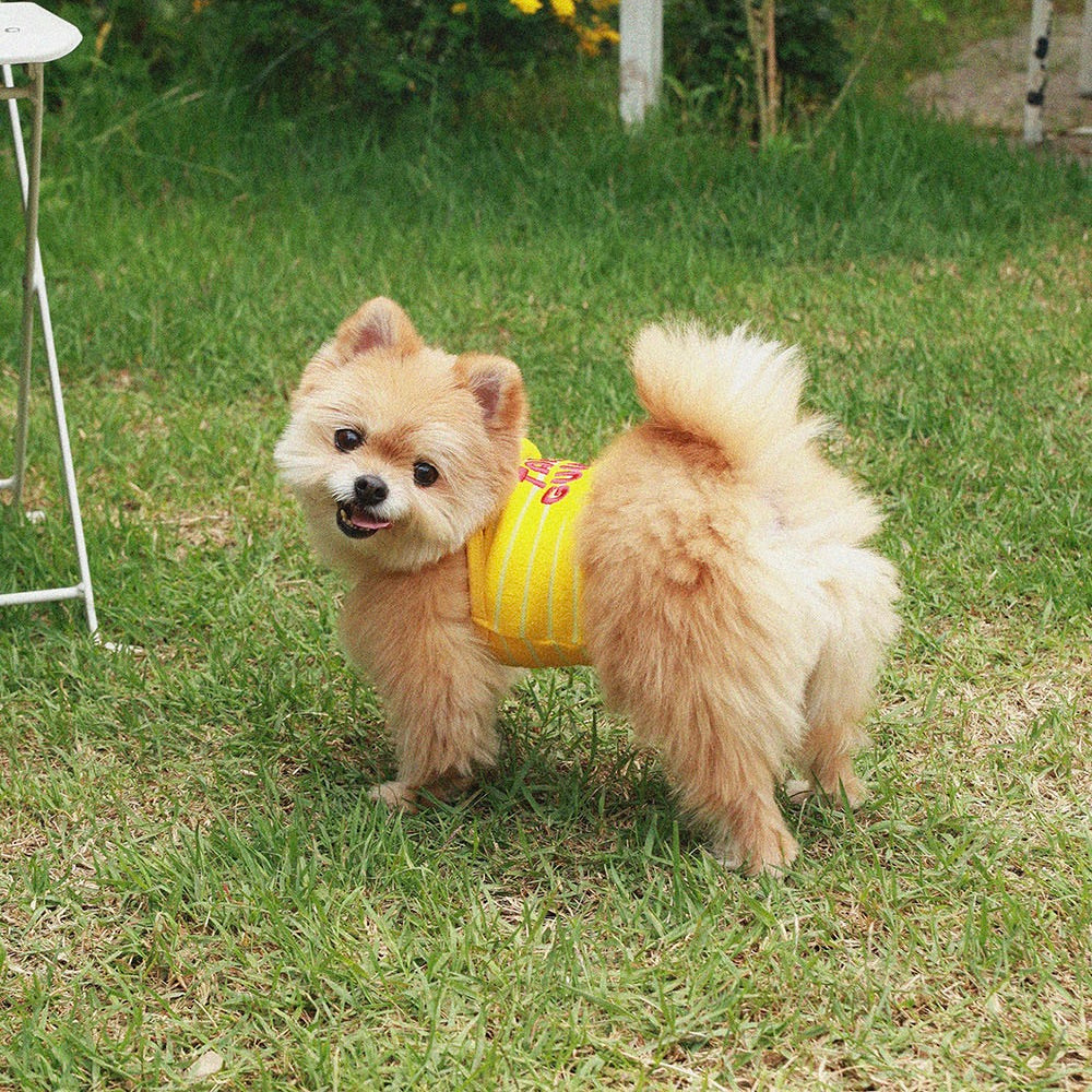 即納【noonoosoom】Tail guide crop top（Yellow）