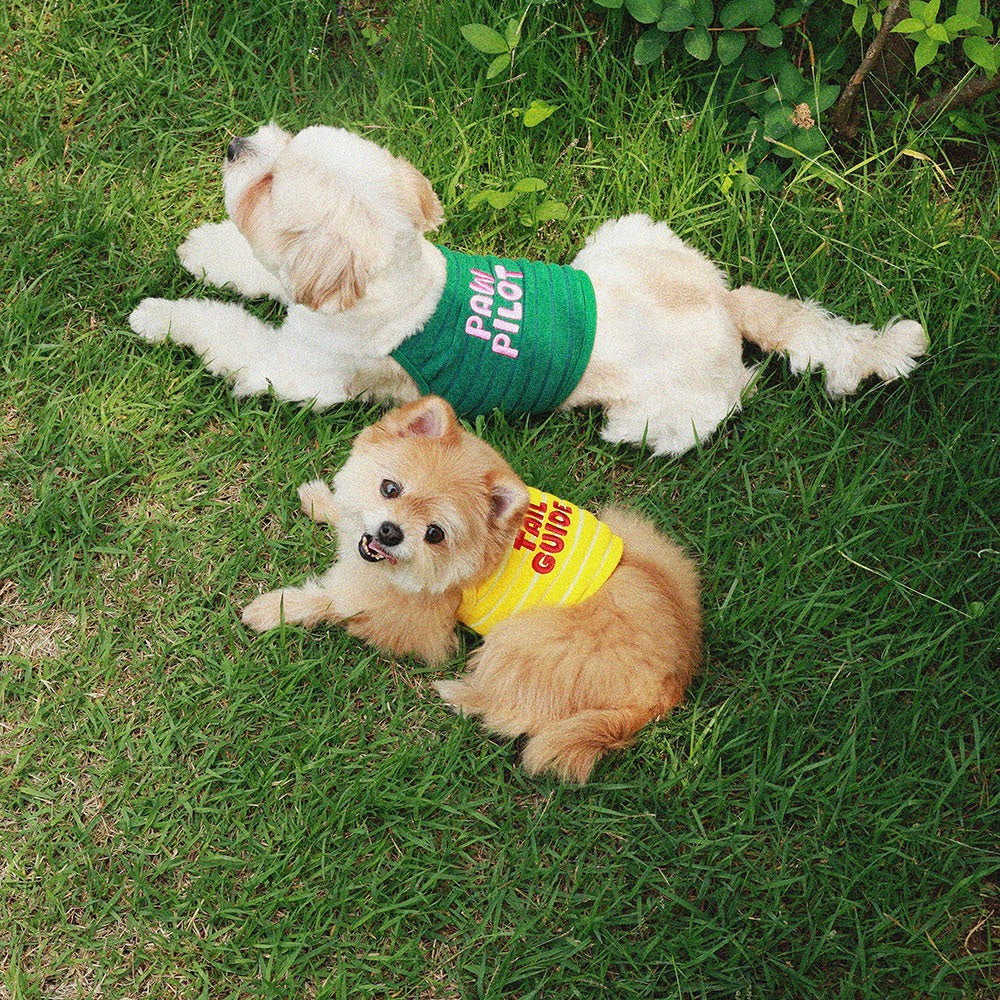 即納【noonoosoom】Tail guide crop top（Yellow）