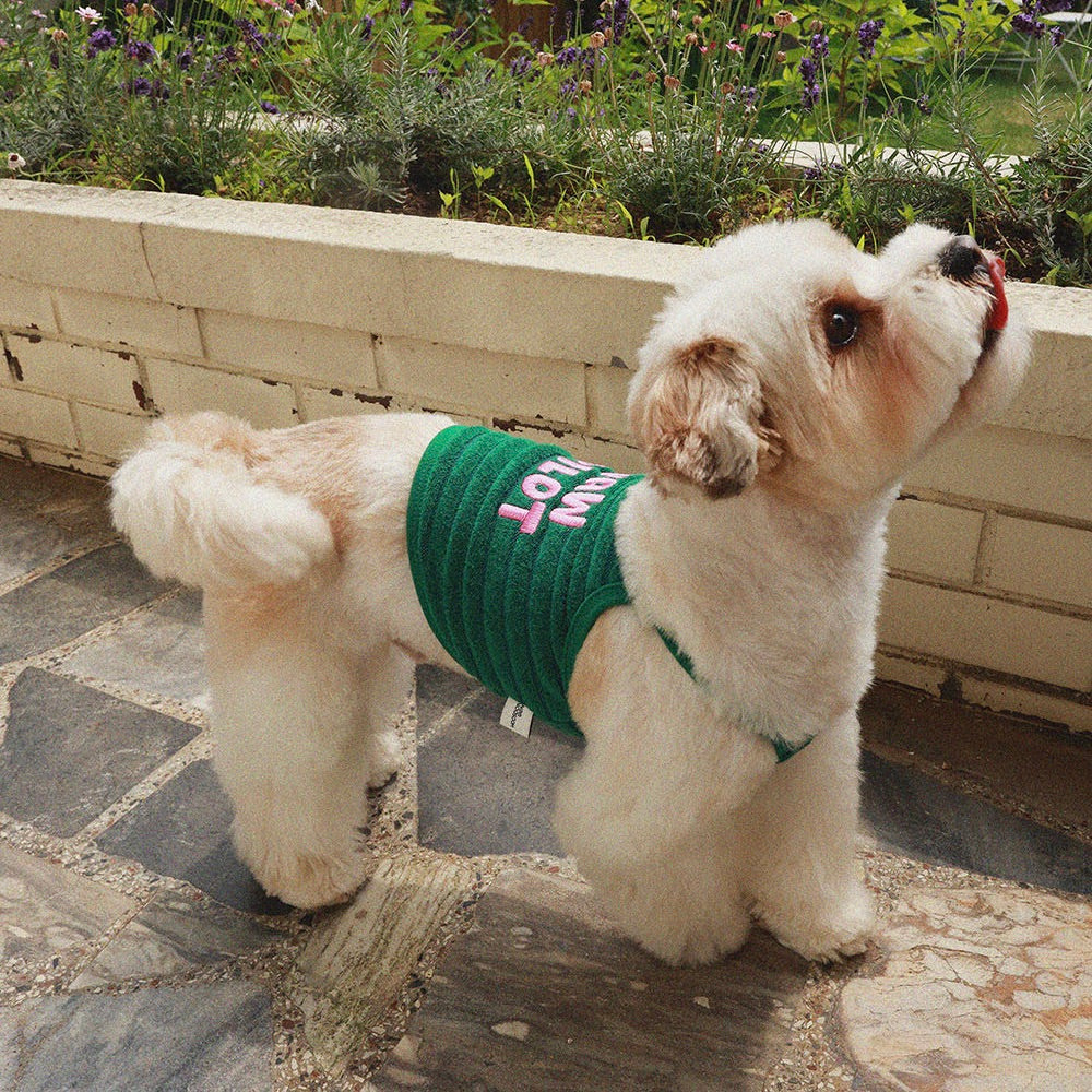 即納【noonoosoom】Paw pilot crop top（Green）