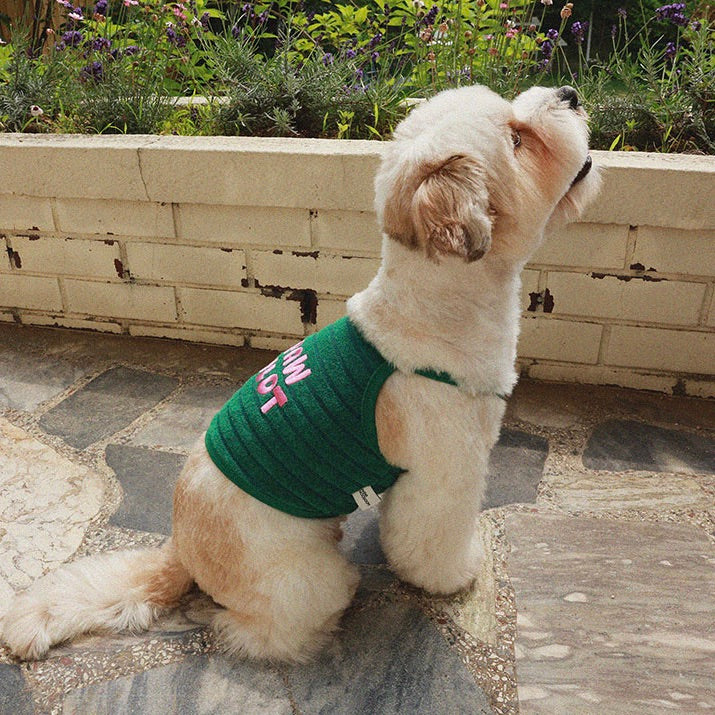即納【noonoosoom】Paw pilot crop top（Green）
