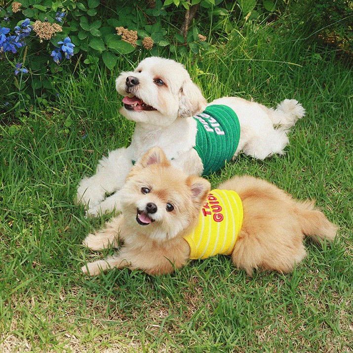 即納【noonoosoom】Paw pilot crop top（Green）