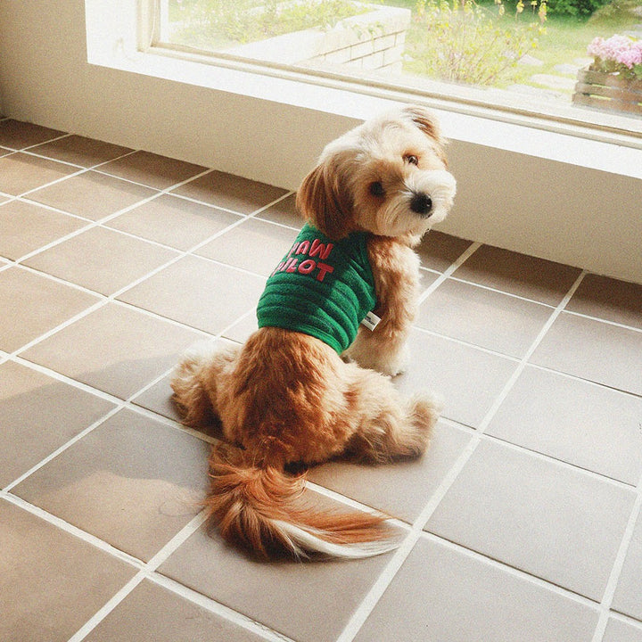 即納【noonoosoom】Paw pilot crop top（Green）