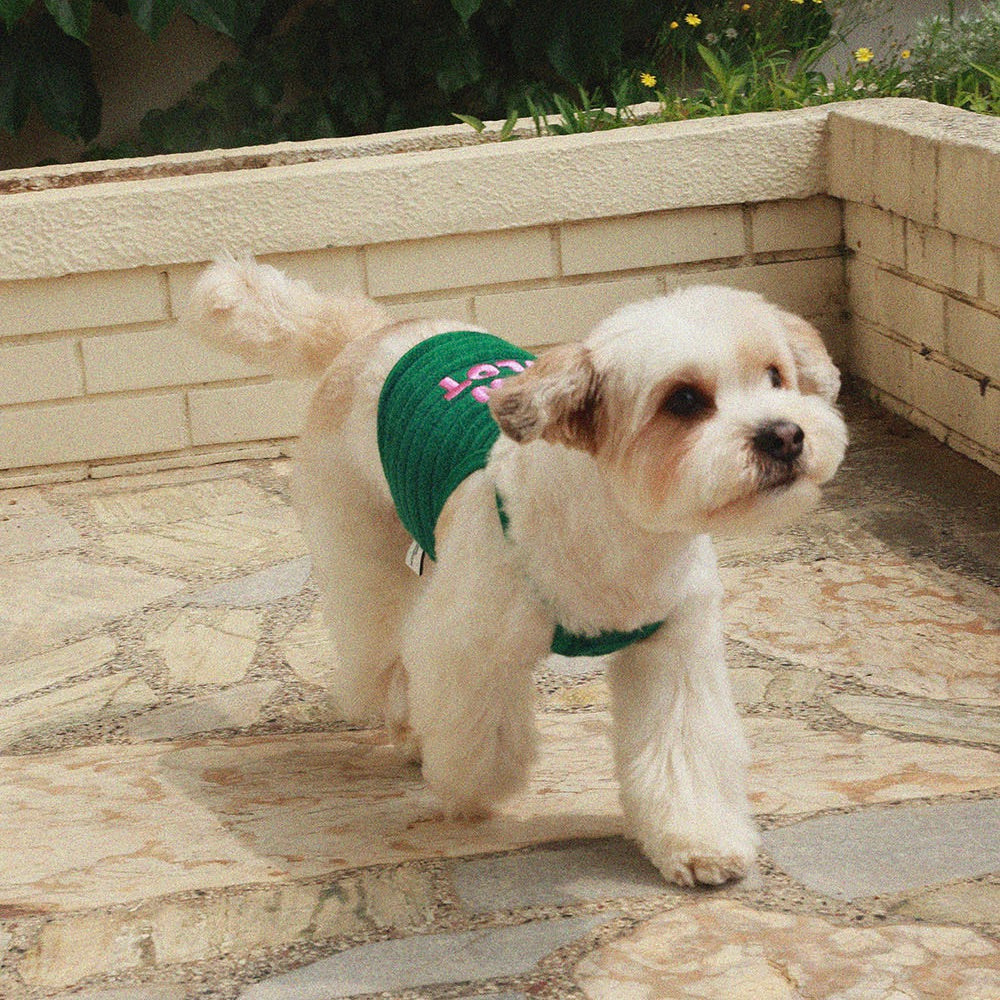 即納【noonoosoom】Paw pilot crop top（Green）