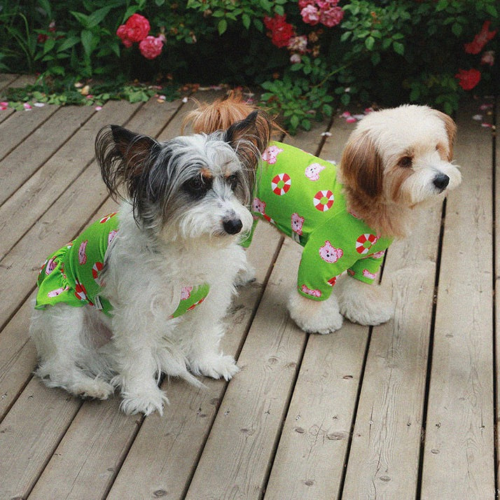 即納【noonoosoom】Noonoo buddy FAN all in one（Green）