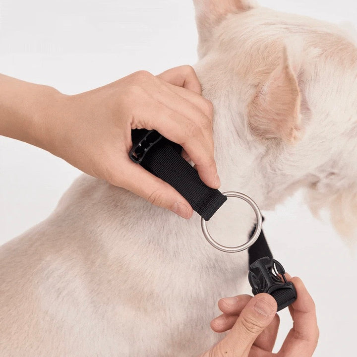 ※予約販売【munikund】TREKTAIL Collar - Black
