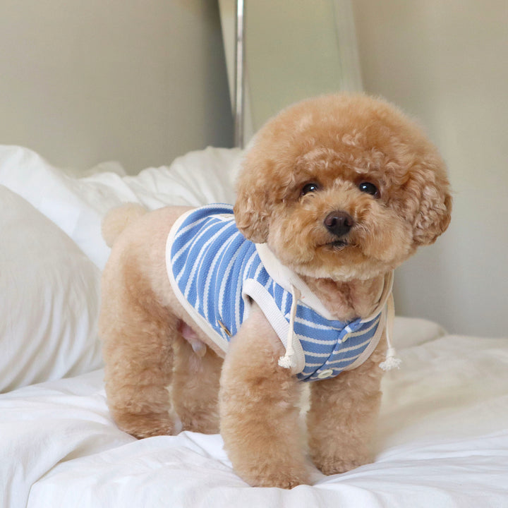 即納【DURANG RURANG】Nutty Hoodie Vest（Cream Blue）