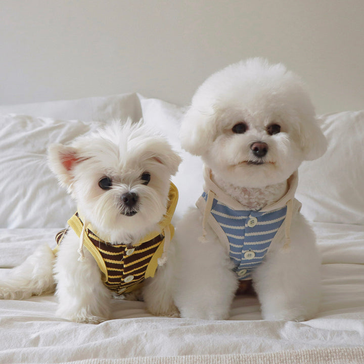 即納【DURANG RURANG】Nutty Hoodie Vest（Mocha Yellow）