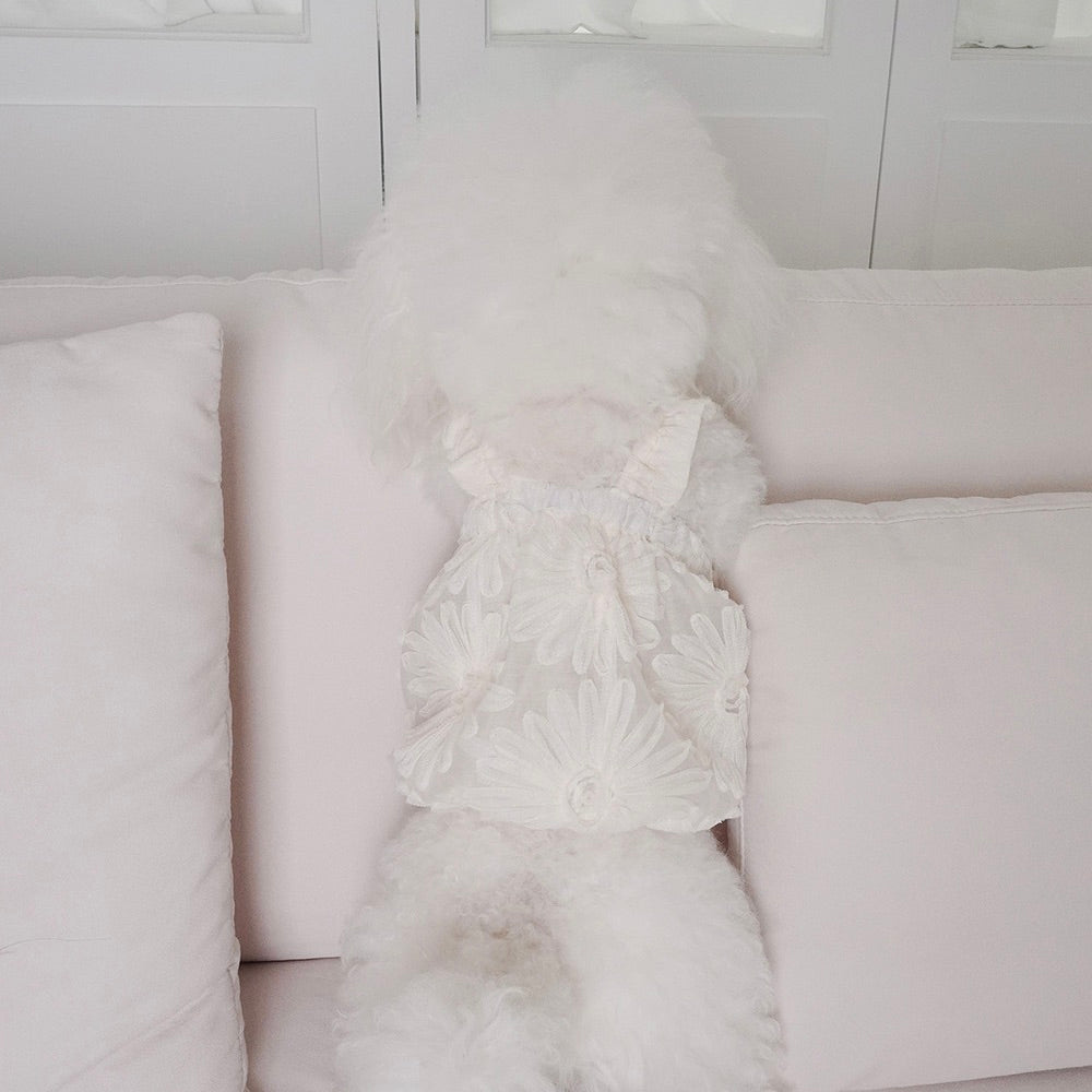 即納【noonoosoom】Fleur balloon top