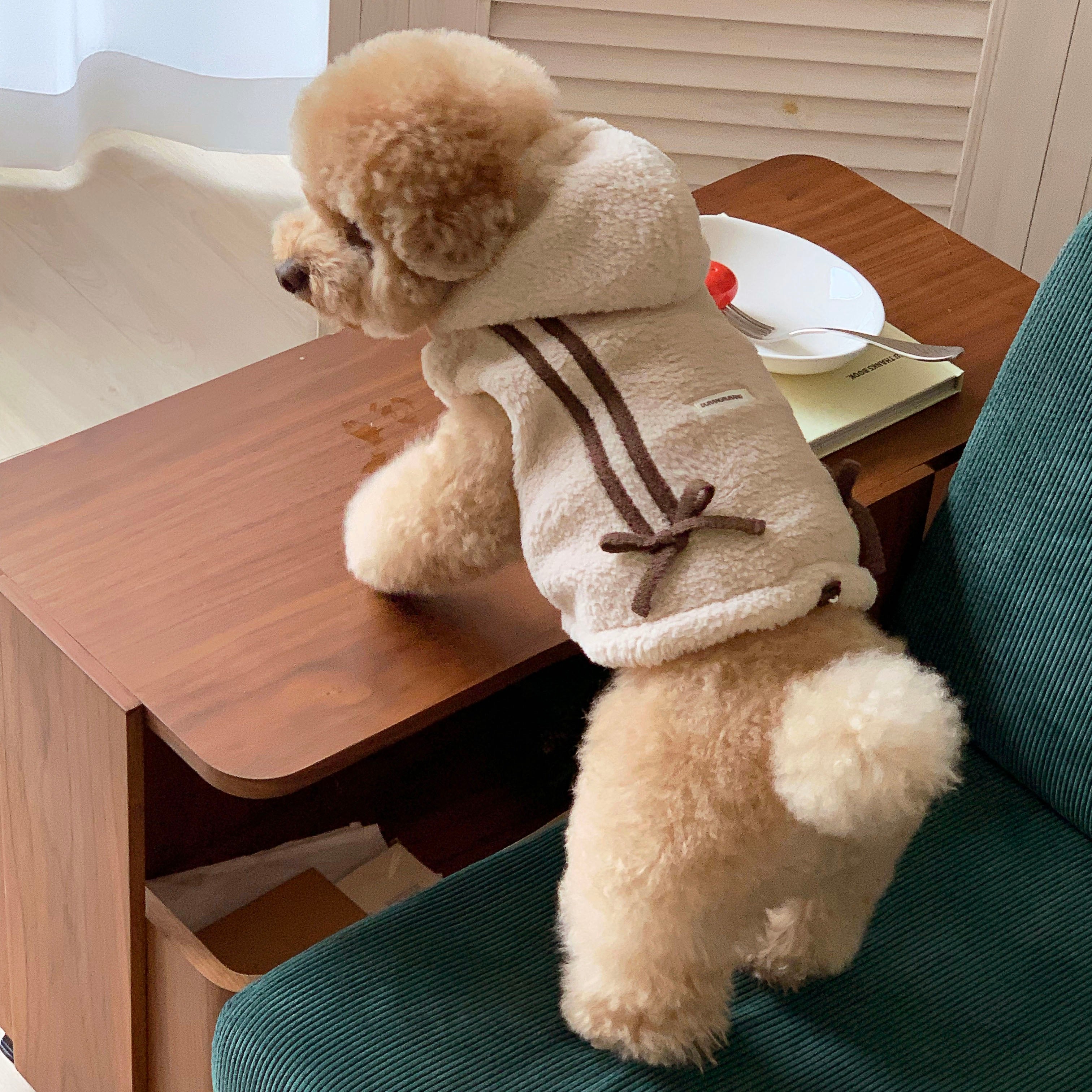 海外犬服 高品質なインポートのドッグウェア通販 