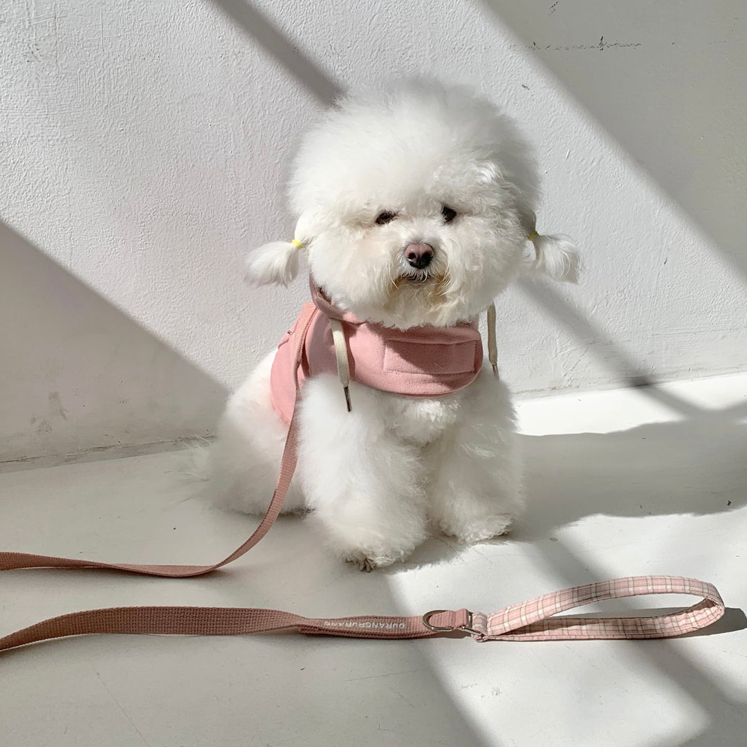 ※予約販売【DURANG RURANG】Check Point Leash