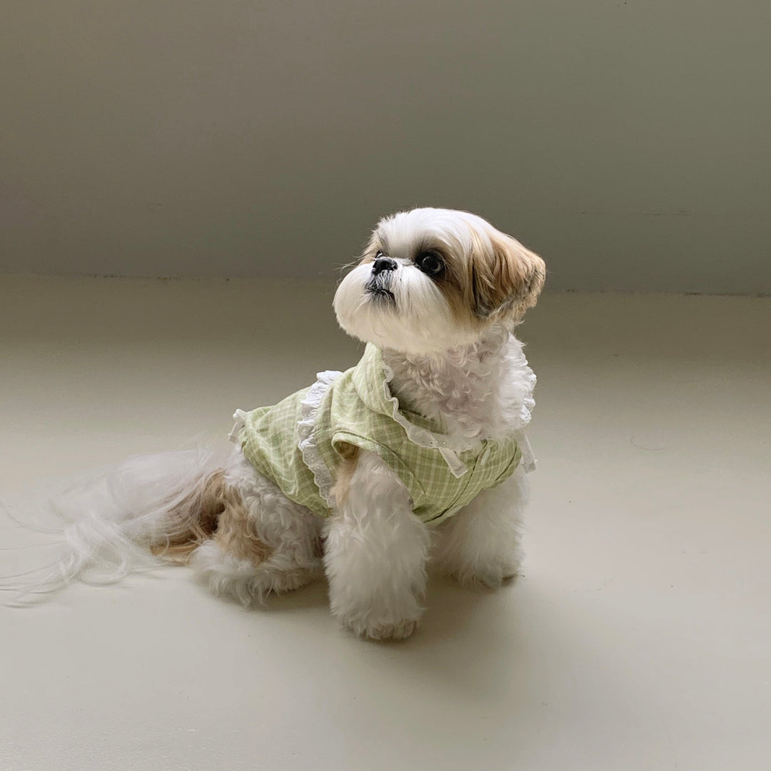 ※予約販売【DURANG RURANG】Airy Cotton Hooded Shirt（Lime Green）