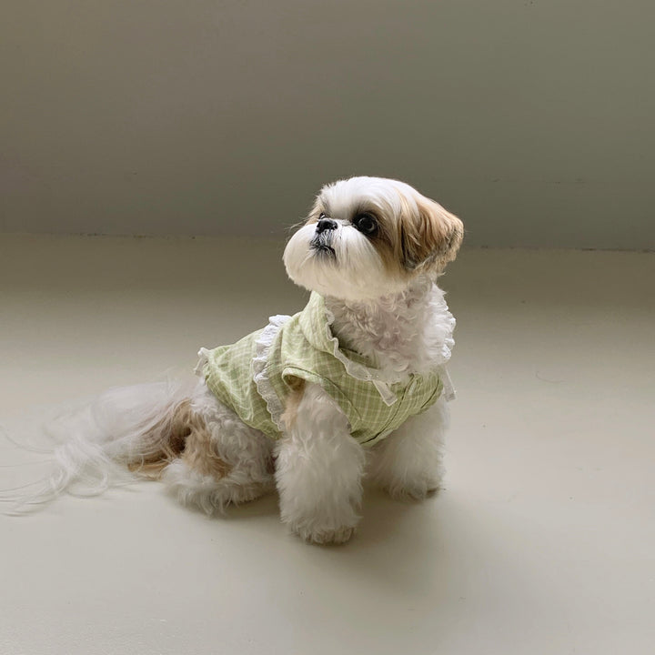 ※予約販売【DURANG RURANG】Airy Cotton Hooded Shirt（Lime Green）