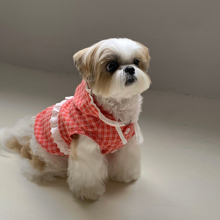 ※予約販売【DURANG RURANG】Airy Cotton Hooded Shirt（Coral Red）