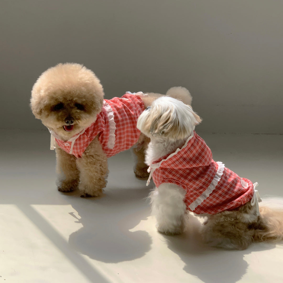 ※予約販売【DURANG RURANG】Airy Cotton Hooded Shirt（Coral Red）