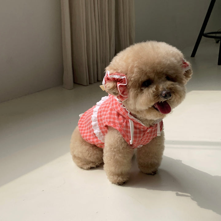 ※予約販売【DURANG RURANG】Airy Cotton Hooded Shirt（Coral Red）