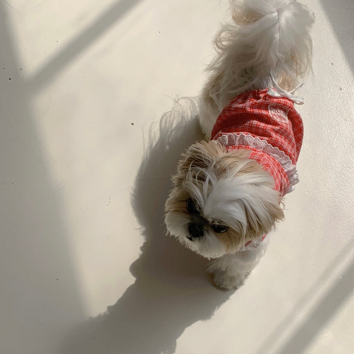 ※予約販売【DURANG RURANG】Airy Cotton Hooded Shirt（Coral Red）
