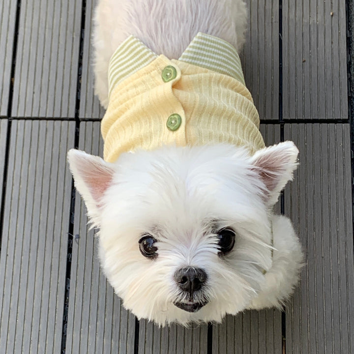 ※予約販売【DURANG RURANG】Teddy Bear Layered Sleeveless（Yellow）