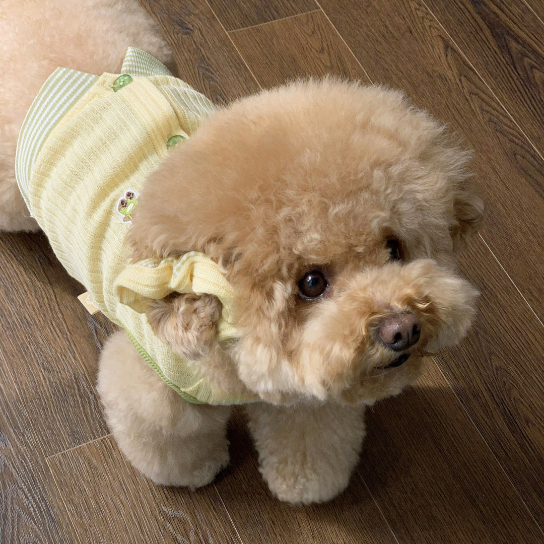 ※予約販売【DURANG RURANG】Teddy Bear Layered Sleeveless（Yellow）