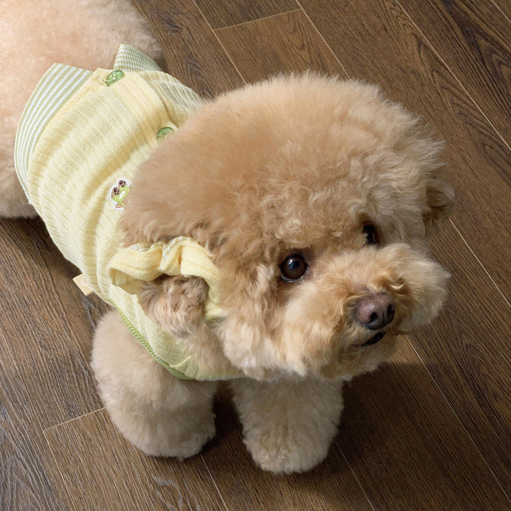 ※予約販売【DURANG RURANG】Teddy Bear Layered Sleeveless（Yellow）