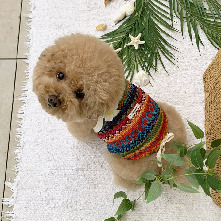 ※予約販売【DURANG RURANG】Wikiki Knit Top