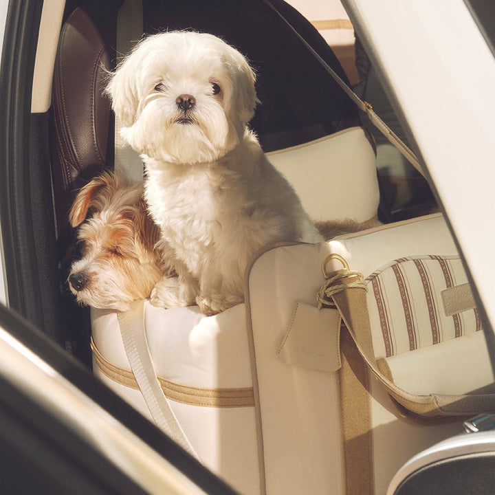 ※予約販売【seoru】Cruise Car seat（Beige）