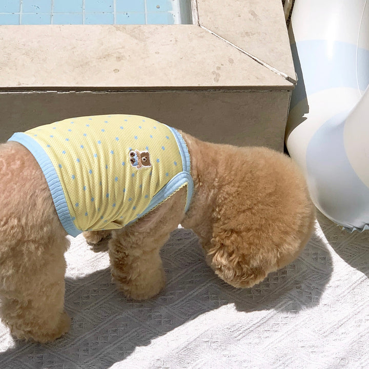※予約販売【DURANG RURANG】Star Bear Cool T（Soda Yellow）
