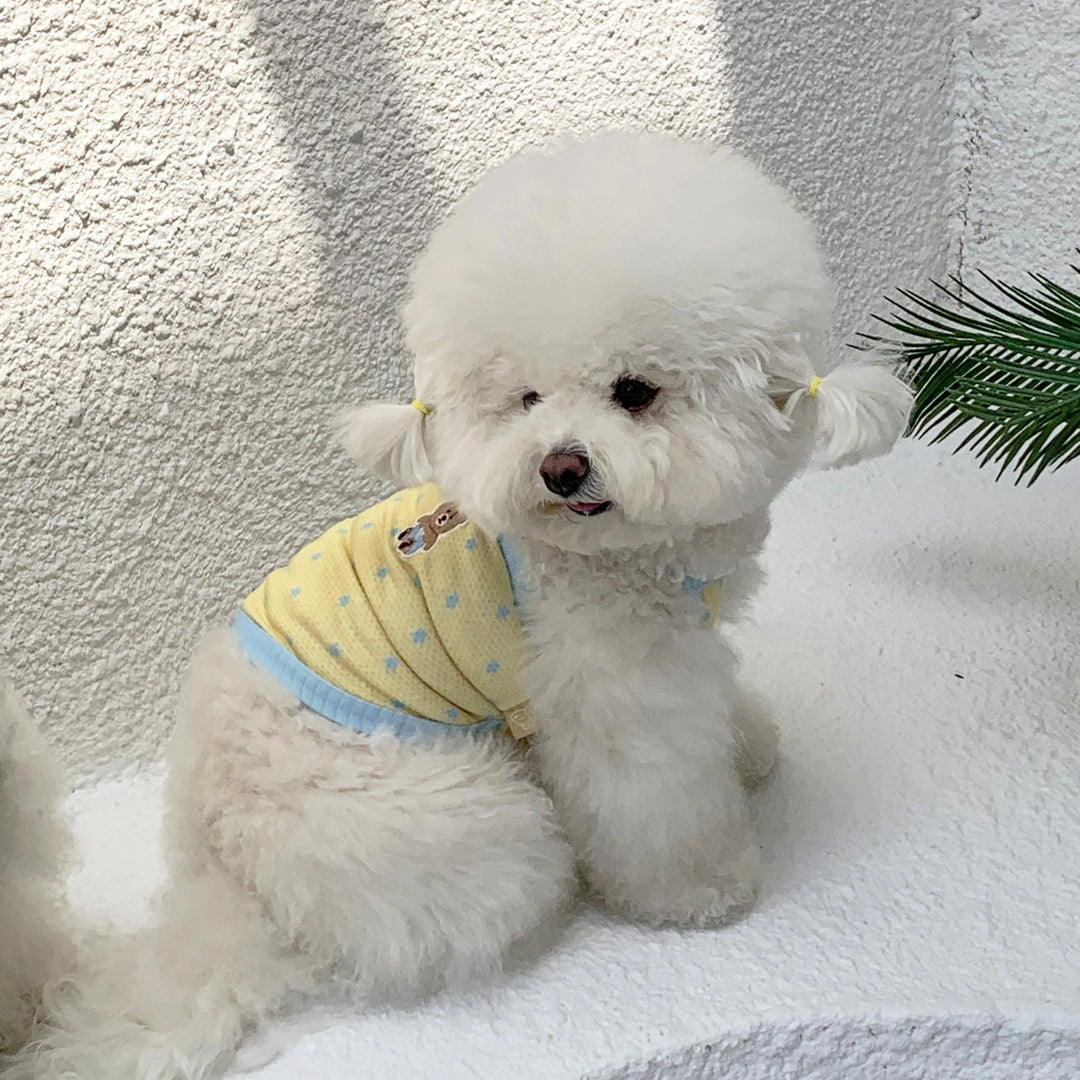 ※予約販売【DURANG RURANG】Star Bear Cool T（Soda Yellow）