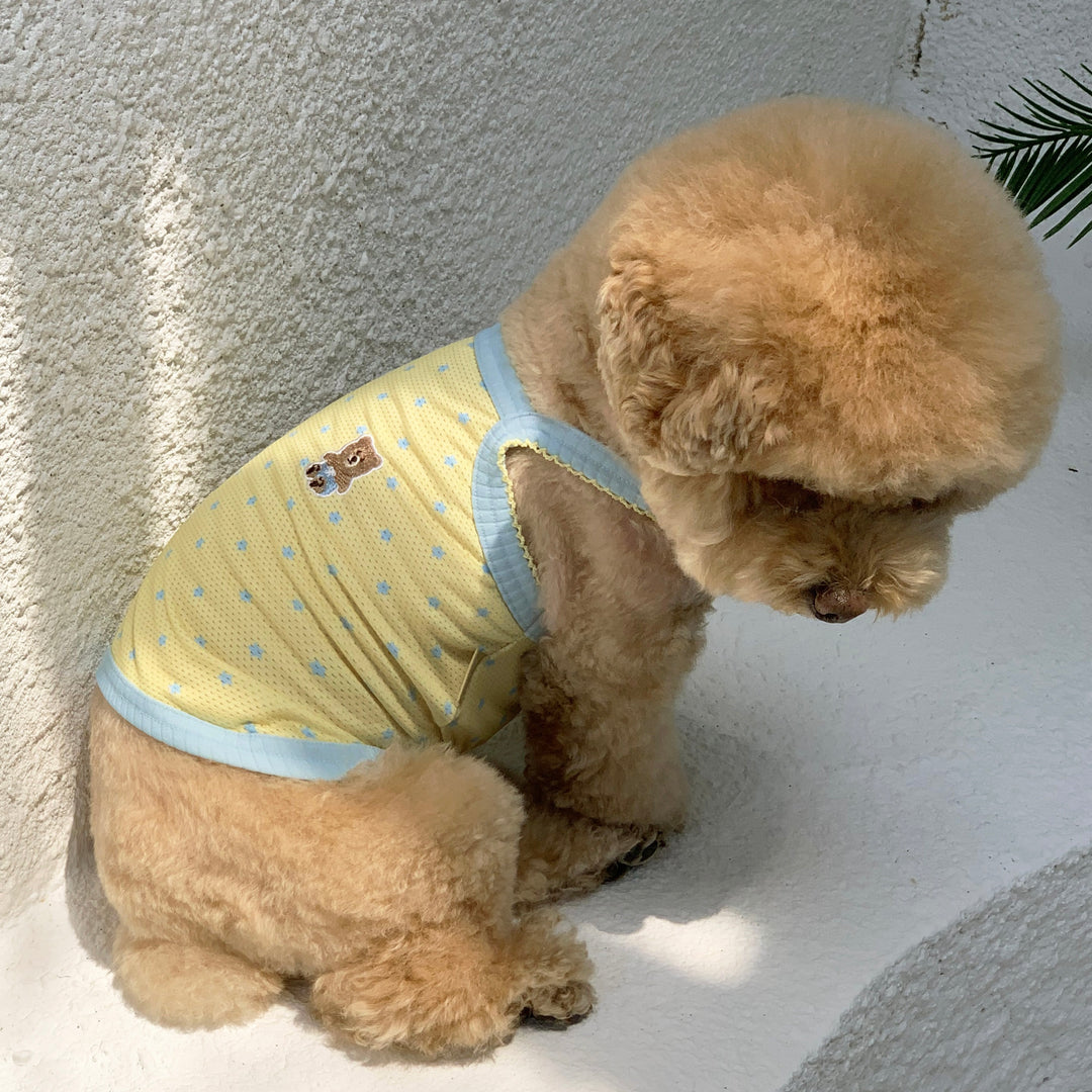 ※予約販売【DURANG RURANG】Star Bear Cool T（Soda Yellow）