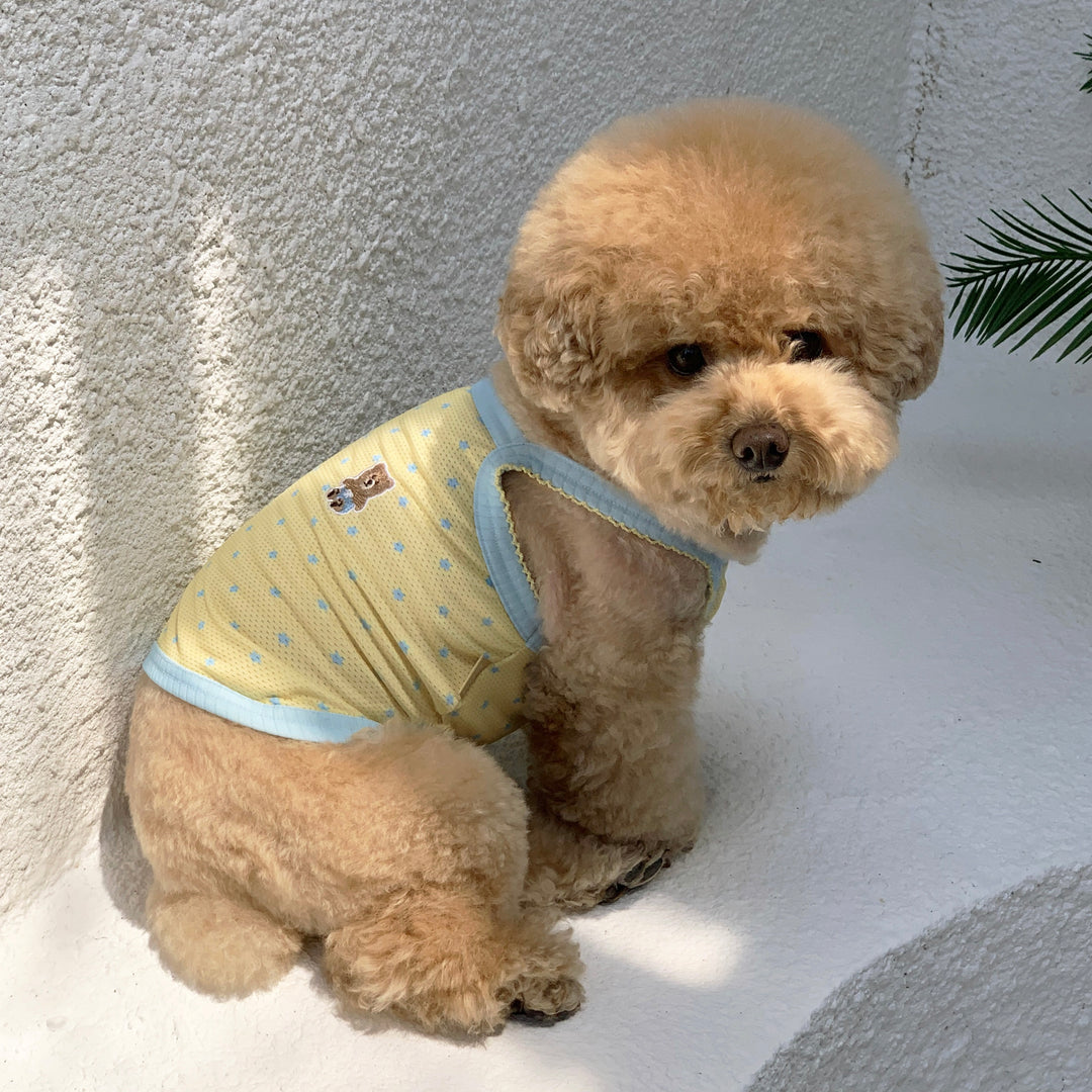 ※予約販売【DURANG RURANG】Star Bear Cool T（Soda Yellow）