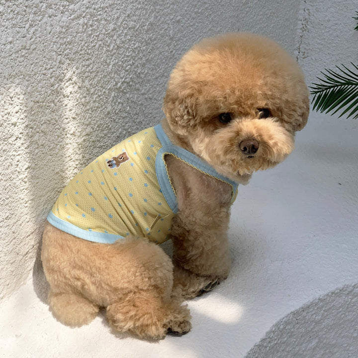 ※予約販売【DURANG RURANG】Star Bear Cool T（Soda Yellow）