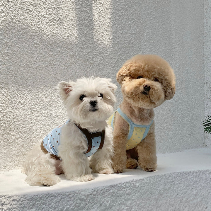 ※予約販売【DURANG RURANG】Star Bear Cool T（Soda Yellow）