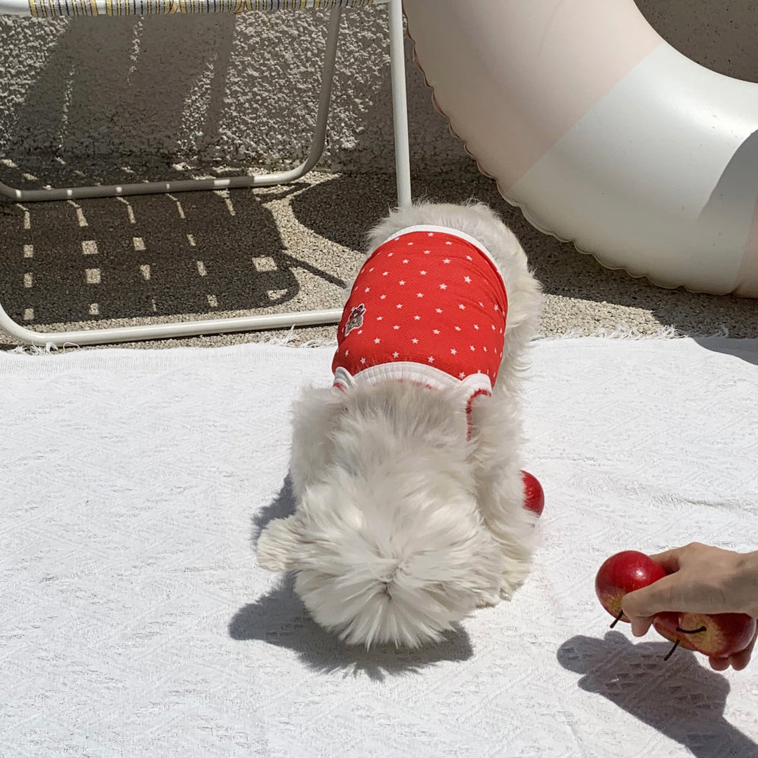 ※予約販売【DURANG RURANG】Star Bear Cool T（Red）