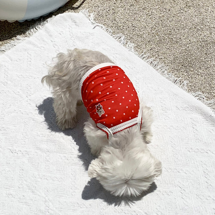 ※予約販売【DURANG RURANG】Star Bear Cool T（Red）
