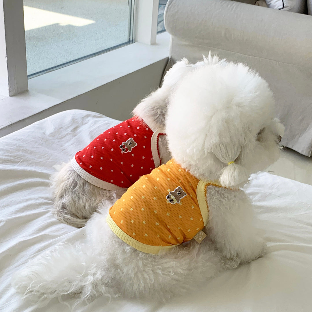 ※予約販売【DURANG RURANG】Star Bear Cool T（Red）